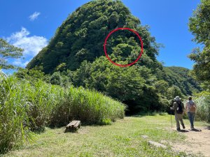 注意看~有約克夏臉的獅仔頭山