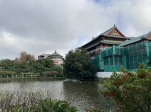 【南山神壽任務尋寶趣】徜徉台北植物園步道