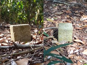 大年初二探勘日月潭纜車站附近超級冷門的「下卜吉山」