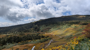 一路黃黃綠綠的楓紅之日本百名山-西吾妻山