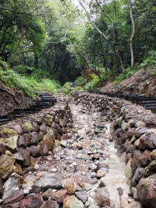 陽明山總站，紫明溪步道，陽明書屋， 花鐘雨中行