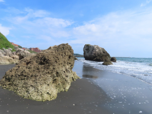 柴山阿朗壹海岸線
