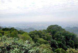 台中三汀山，咬人狗登山步道，大坑9號步道，大坑10號步道，軍功寮山，彰化橫山，觀日步道，賞鷹步道，大村落羽松秘境