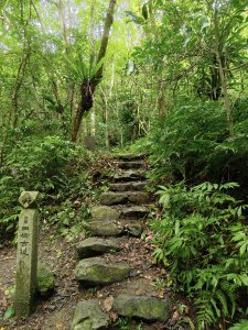 [新北坪林][九]北宜古道鞍部(刣牛寮鞍部)、下洞山、山林崙