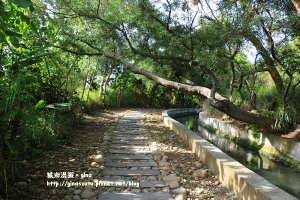 【台中。烏日】近郊好散步。 知高圳步道