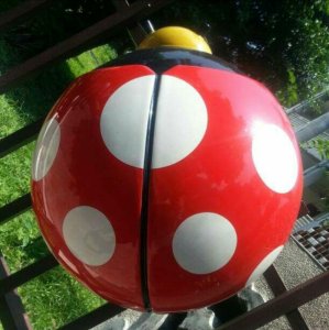 小瓢蟲   🇹🇼 萬歲