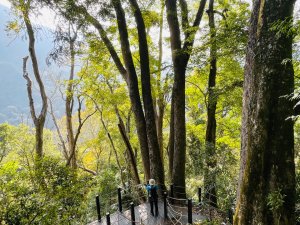 1141129巨人之手｜雪山坑登山步道