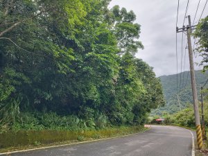 [宜蘭大同][一]西馬縫山北峰、西馬縫山