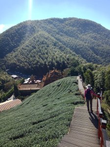 【雲林嘉義】雲嘉大尖山