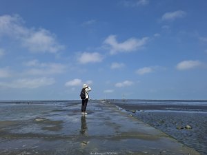 《彰化》海中步道｜漢寶濕地芳苑濕地健行賞鳥20260315