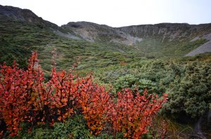 10911中旬雪山主東一日紀行。