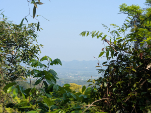八通關社寮古道-陳東坑山半程