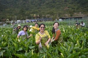 【新聞】陽管處於3月辦理「竹子湖生態之旅」活動未來將持續辦理 邀請您一起來參與！