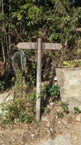 咬人狗坑登山步道 三汀山