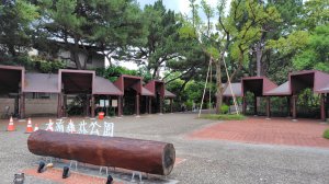 霄裡好風光運動樂悠遊-大湳森林公園