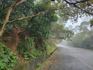 [桃園蘆竹][二]外社山、草子崎(大邊屋山)、西埔子庄、大古山、頭前庄(基石遺失)