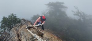 鳶嘴稍來山O繞+稍來神木
