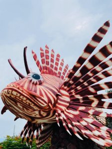 澎湖獨特又可愛的海鮮🦞藝術裝置