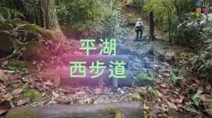 [新北平溪] 平湖西步道-內平林山