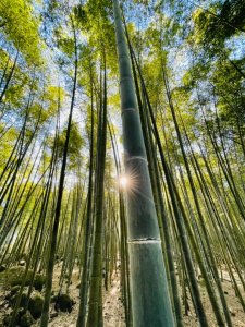 長源圳步道