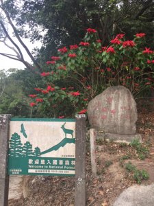 20181215貓仔們第六座小百岳關刀山