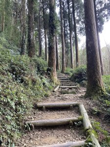 奮起湖大凍山