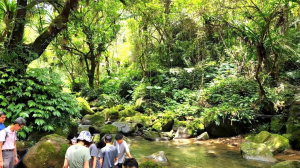 馬胎古道，連走南坪古道