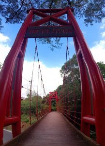 老崎古道（頭份後花園）賞楓