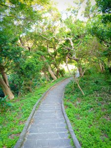 觀音山O型環狀