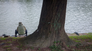 碧湖＆白鷺鷥山