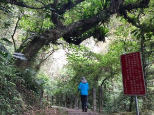 1090221撒固兒步道