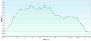20260308內灣三山(內灣山-麥樹仁山南峰-麥樹仁山-舊砲台山-加那排山-白石湖山)