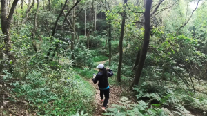 來趟虎頭山越野跑提升你的爬山能力