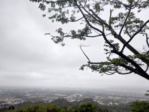 龍過脈森林步道