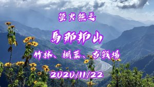 【小百岳】馬那邦山：竹林、楓葉、古戰場