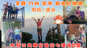 114.11.09南投／鹿谷 茶園-竹林-雲海-最美的相遇大石公走樟空倫山七連峰O型（大崙頭山 貓冬望山 民眾坪山 樟空崙山 志騰山 溪頭山 竹崙山）