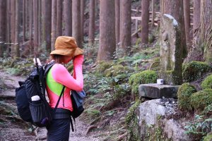 熊野参詣道中辺路：雲取越に祈りは続く