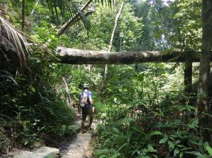 ［馬來西亞檳城］通往絕美沙灘的熱帶山林健行步道