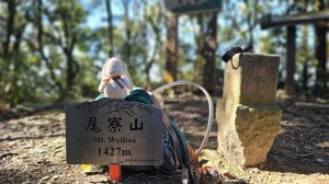 【尾寮山靜修日：一人一山，一念清明，山無語，我自省】🌿