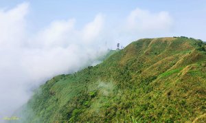 【進階版抹茶山】茫茫箭竹海中的鶯子嶺