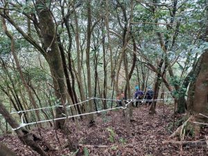 嶺腳>柴橋坑山>姜南山>尪仔石坑>尪仔石坑古道O型