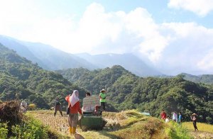 【環境】萬物共享一畝田 台灣里山的實踐