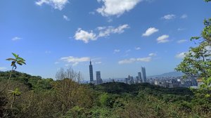 縱情山水、花海∥台北信義‧虎山環狀步道，大安森林