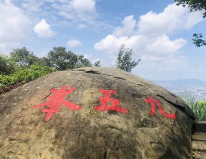 2021台北大縱走第六段 中華科大-麟光站 🦋彩蝶紛飛🐸