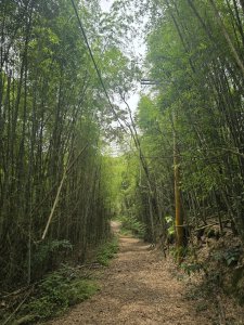 20260516 小百岳-南投集集大山