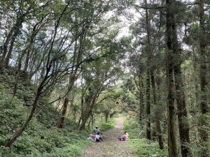 坪溪古道、石空古道出外澳