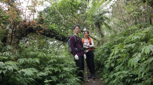 初音山登山健行趣(小百岳88號)(第214篇旅記分享)