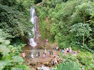 【花蓮】 楓林步道好視野x撒固兒步道、撒固兒瀑布超沁涼