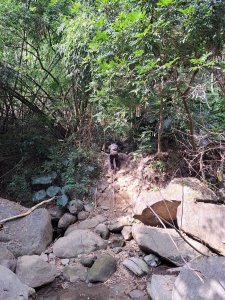 美濃克孝峰→雙峰山O型