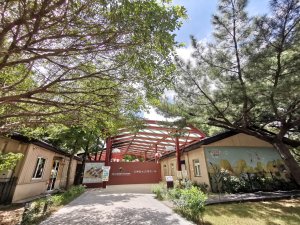 暑之大湳森林公園